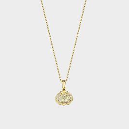 Oyster Gold Steel Necklace | Kolye